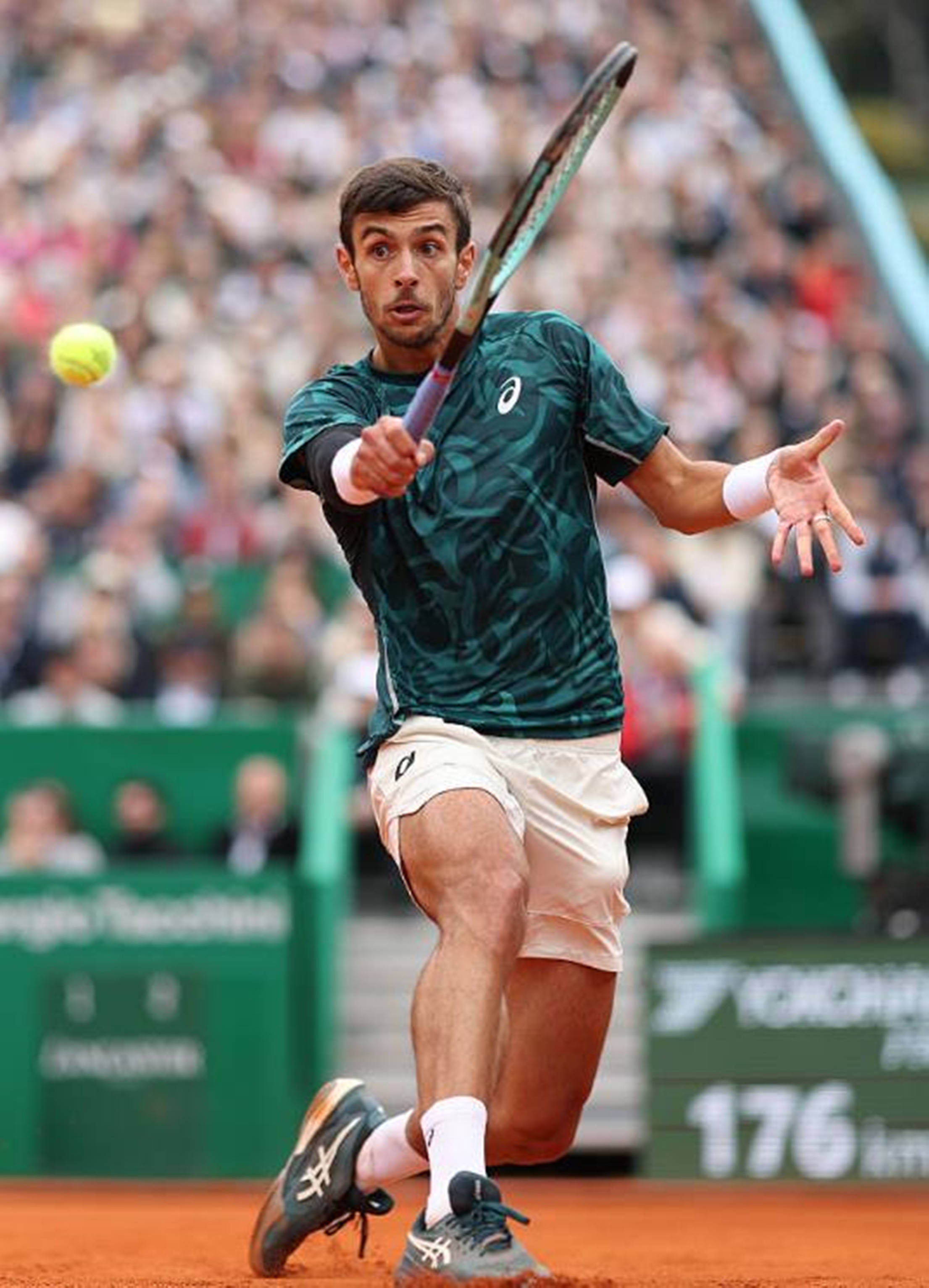 其中最引人 其中最引人